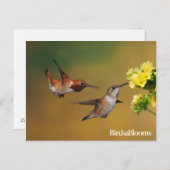 浮きハチドリ ポストカード (正面/裏面)