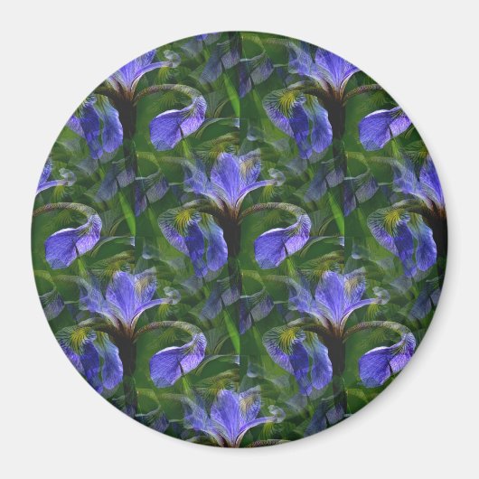 浮き虹彩…..... マグネット (正面)