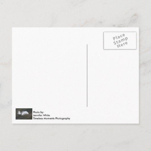 浮き鳥の羽はがき ポストカード (裏面)