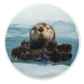 浮動カワウソ セラミックノブ (正面)