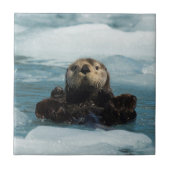 浮動カワウソ タイル (正面)