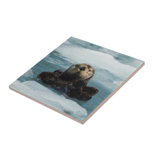 浮動カワウソ タイル (側面)