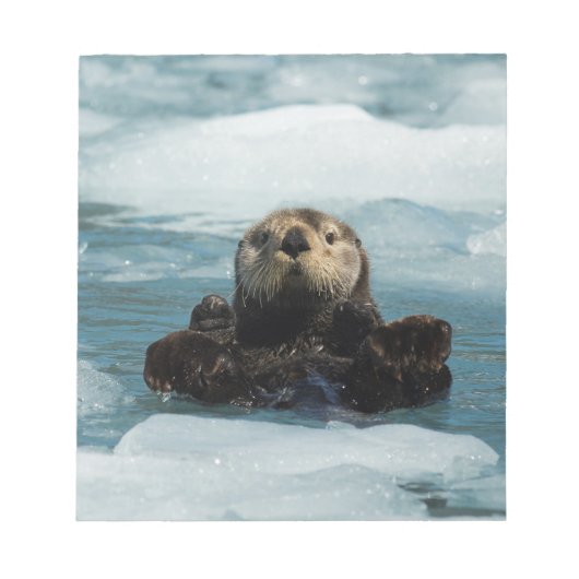 浮動カワウソ ノートパッド (正面)