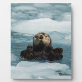 浮動カワウソ フォトプラーク (正面)
