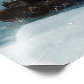 浮動カワウソ フォトプリント            (角)