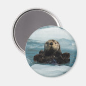 浮動カワウソ マグネット (正面/裏面)