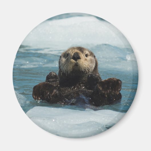 浮動カワウソ マグネット (正面)