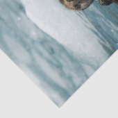 浮動カワウソ 薄葉紙 (詳細)