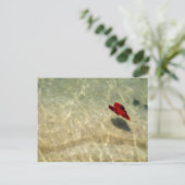 浮動ハート ポストカード (スタンド正面)