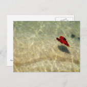 浮動ハート ポストカード (正面/裏面)