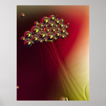 浮動抽象芸術バブルの背カラフル景