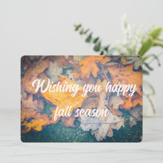 浮動紅葉 カード (スタンド正面)