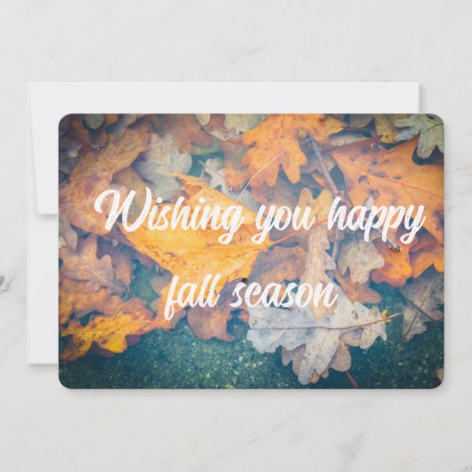 浮動紅葉 カード (正面)