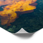 浮動紅葉 ポスター (角)