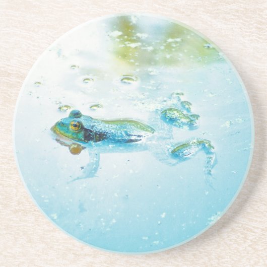 浮動 コースター (正面)