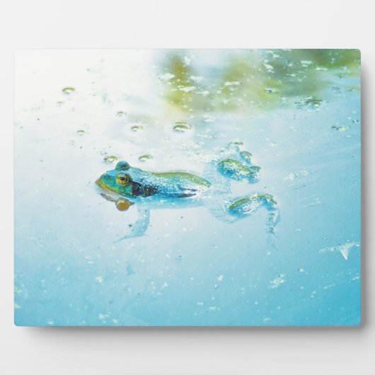 浮動 フォトプラーク (正面)