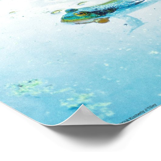 浮動 ポスター (角)