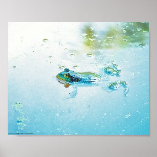 浮動 ポスター (正面)