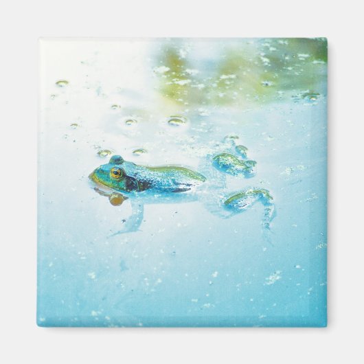 浮動 マグネット (正面)