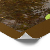 浮動《植物》スイレンポスター ポスター (角)