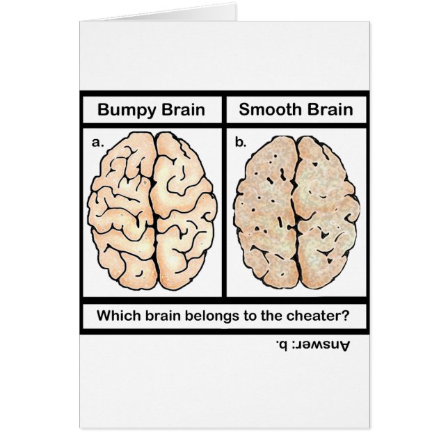 浮気する脳 (正面)