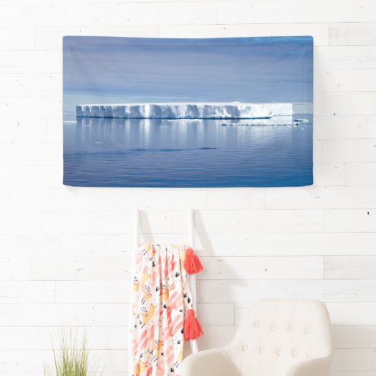 浮氷山 横断幕 (インサイチュ)