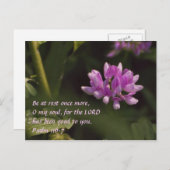 浮花 ポストカード (正面/裏面)