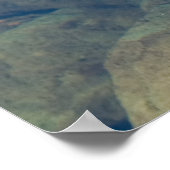 浮葉 ポスター (角)