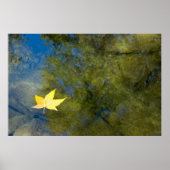 浮葉 ポスター (正面)