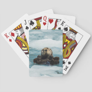 浮遊カワウソ トランプ