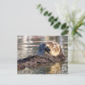 浮遊カワウソ ポストカード (スタンド正面)