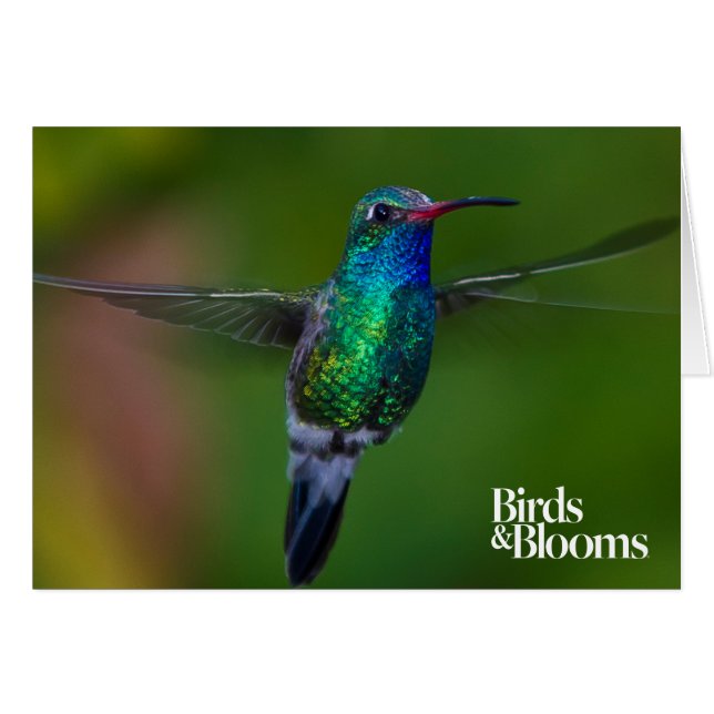 浮遊ハチドリ (正面横)