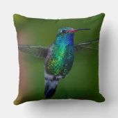 浮遊ハチドリ クッション (裏面)