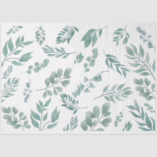 浮遊植物学 薄葉紙 (正面)