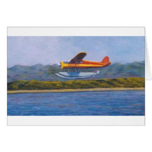 浮遊物の飛行機
