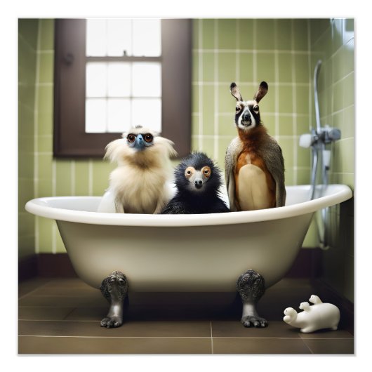 浴室おもしろいの動物 フォトプリント            (正面)
