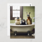浴室おもしろいの動物 ポストカード (正面/裏面)