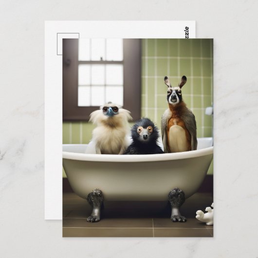 浴室おもしろいの動物 ポストカード (正面/裏面)