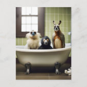 浴室おもしろいの動物 ポストカード (正面)