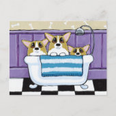 浴槽の中の3つのコーギー ポストカード (正面)