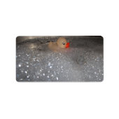 浴槽 ラベル (正面)