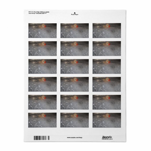 浴槽 ラベル (フルシート)