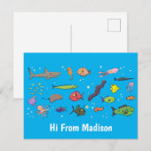 海おもしろい生き物のイラストレーション ポストカード (正面/裏面)