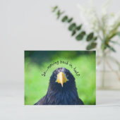 海おもしろい鷹・カスタム 案内ポストカード (スタンド正面)