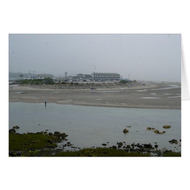 海および川が会うところ (正面横)