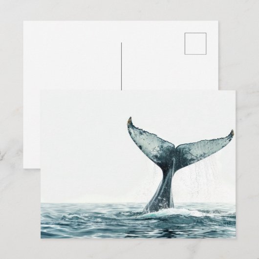 海から出てくるクジラの尾 小 ポストカード (正面/裏面)