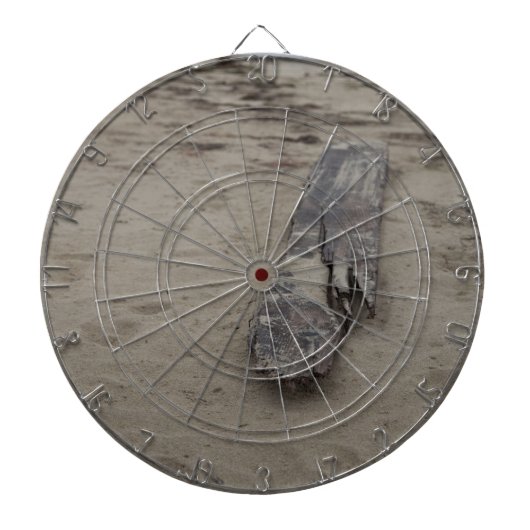 海から ダーツボード (正面)