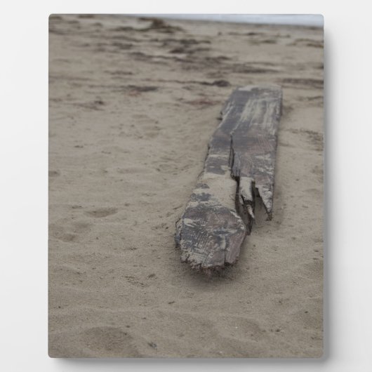 海から フォトプラーク (正面)