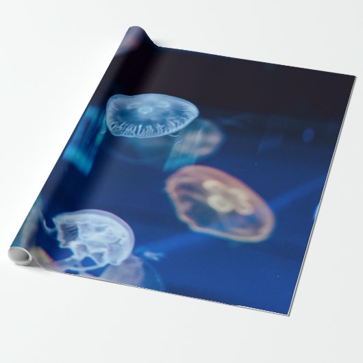 海かわいらし生活 ラッピングペーパー (アンロールド)