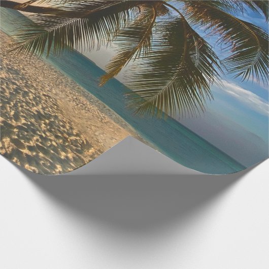 海かわいらし生 ラッピングペーパー (角)